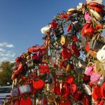 Love lock's Tree fragment